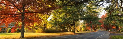 Delany Avenue - Bright - VIC (PBH4 00 13960)